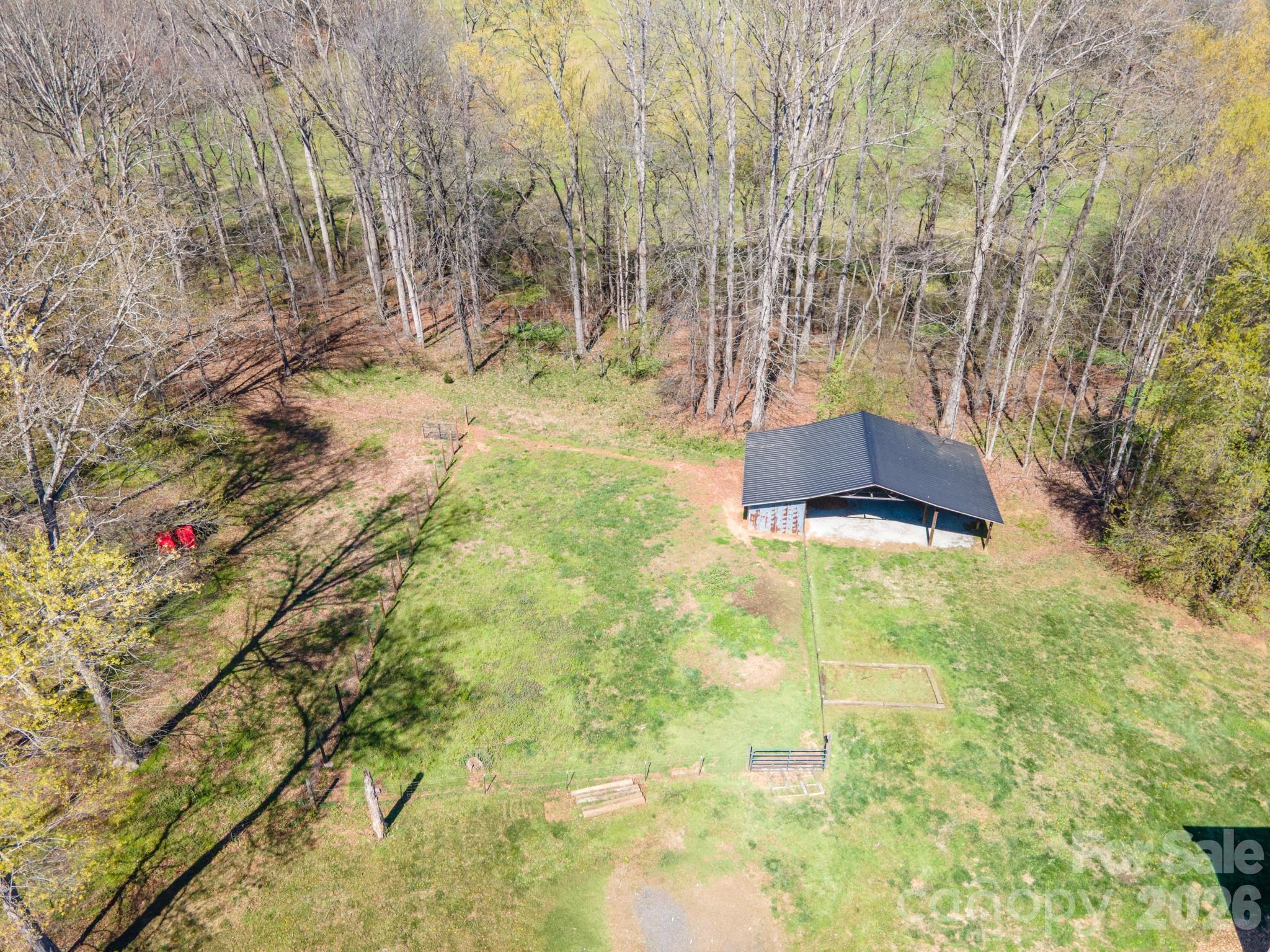 193 Red Hawk Lane Olin, NC 28660 - Photo 33 of 36 a plant is sitting in the middle of a forest