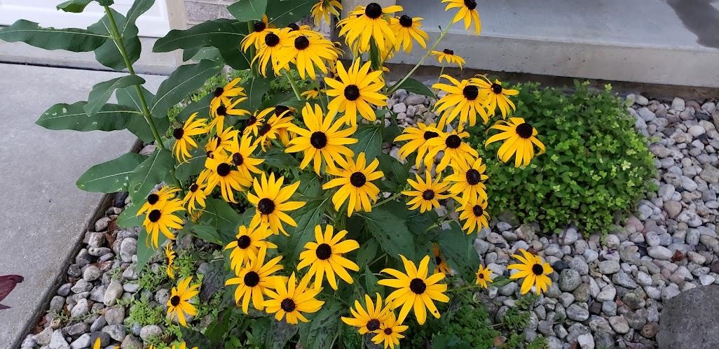 901 Innisbrook Court Waunakee, WI 53597 - Photo 51 of 72