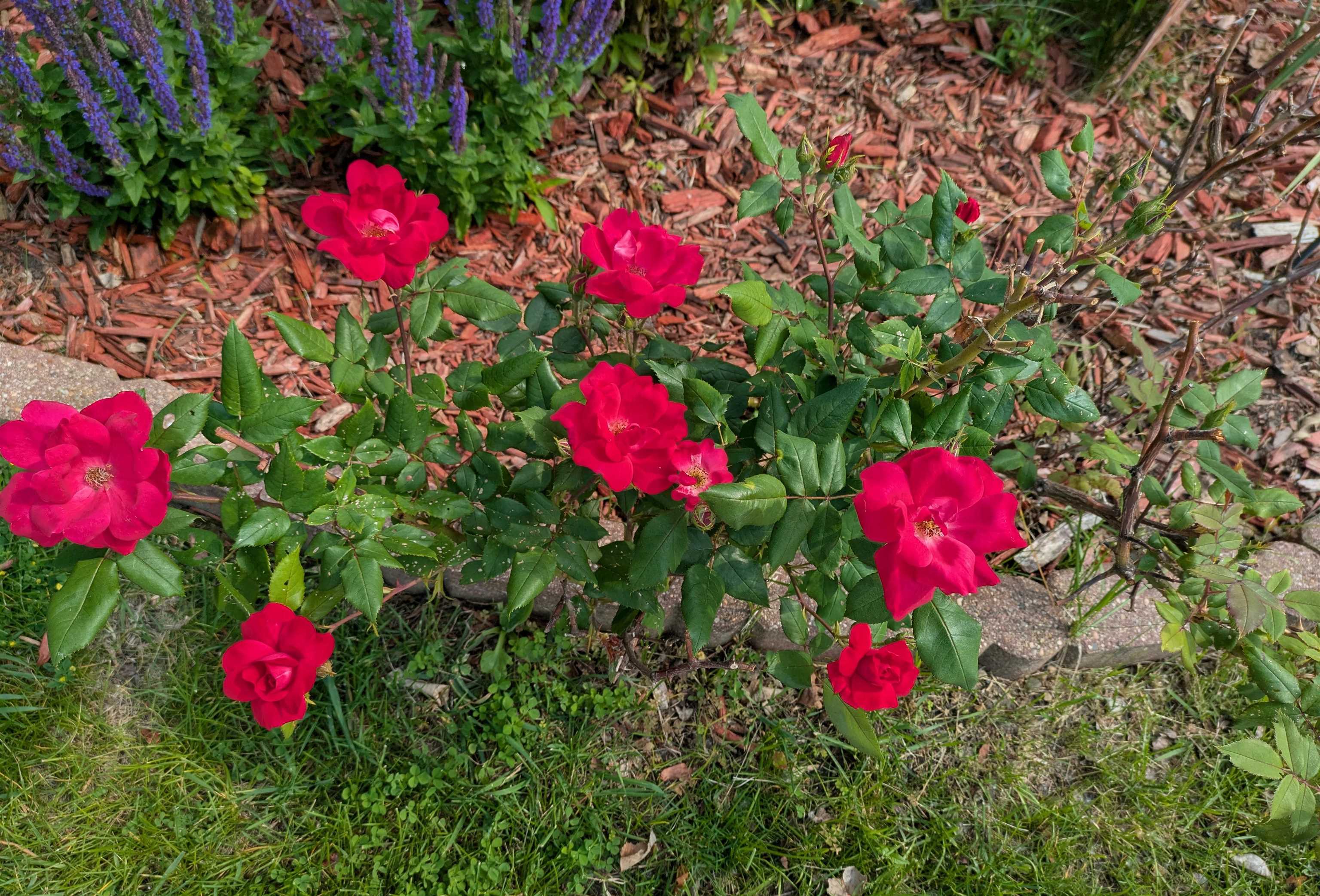 901 Innisbrook Court Waunakee, WI 53597 - Photo 52 of 72