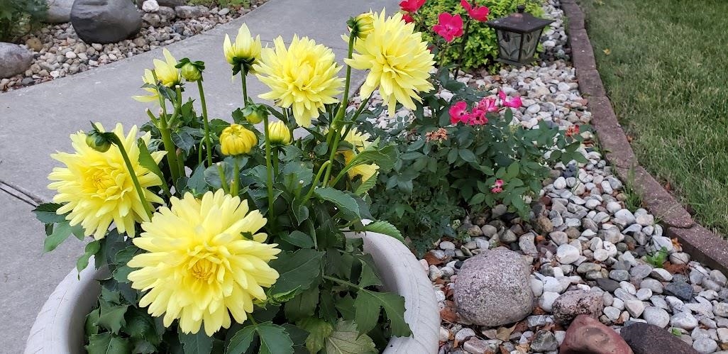 901 Innisbrook Court Waunakee, WI 53597 - Photo 53 of 72