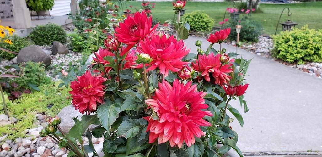 901 Innisbrook Court Waunakee, WI 53597 - Photo 54 of 72