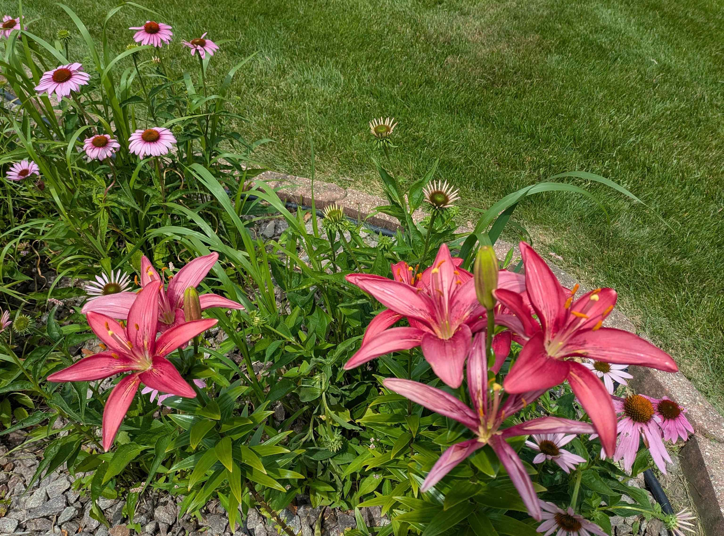 901 Innisbrook Court Waunakee, WI 53597 - Photo 55 of 72