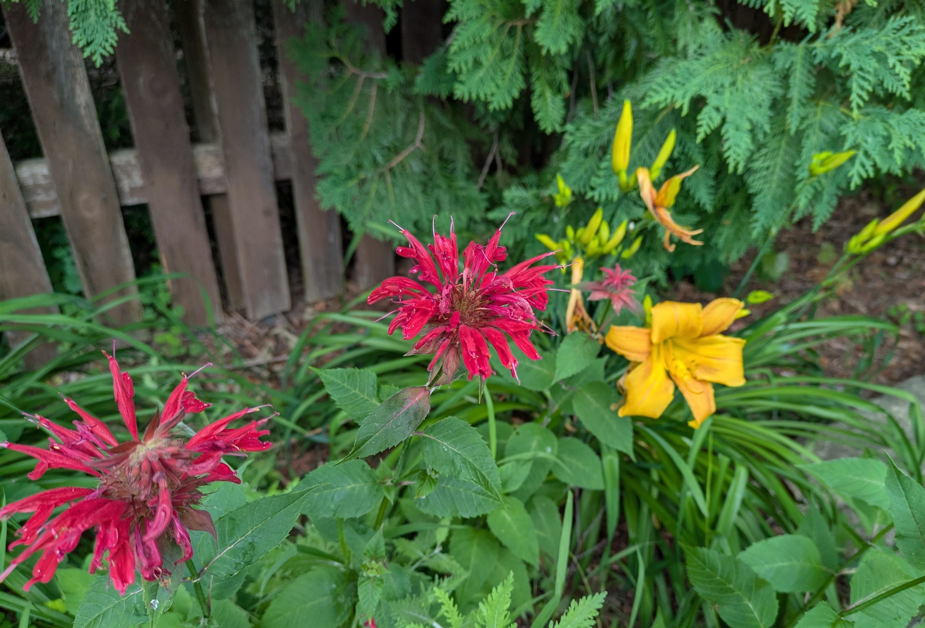 901 Innisbrook Court Waunakee, WI 53597 - Photo 56 of 72