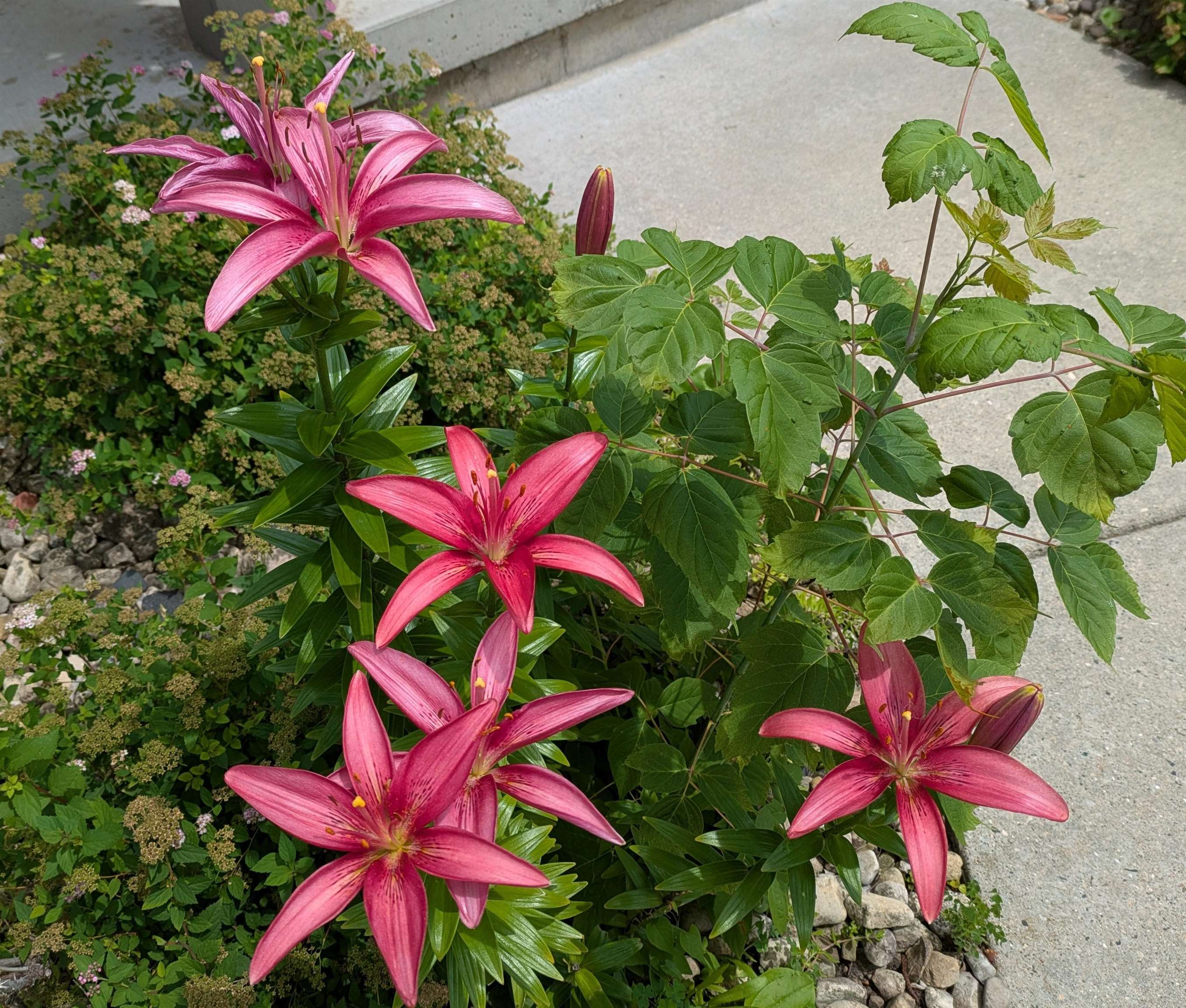 901 Innisbrook Court Waunakee, WI 53597 - Photo 58 of 72