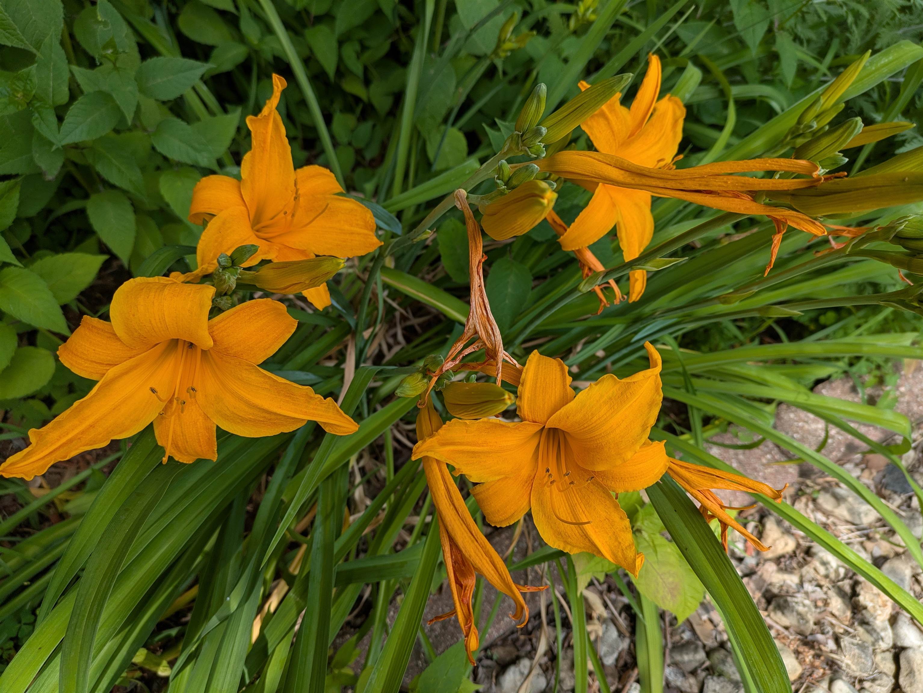 901 Innisbrook Court Waunakee, WI 53597 - Photo 59 of 72