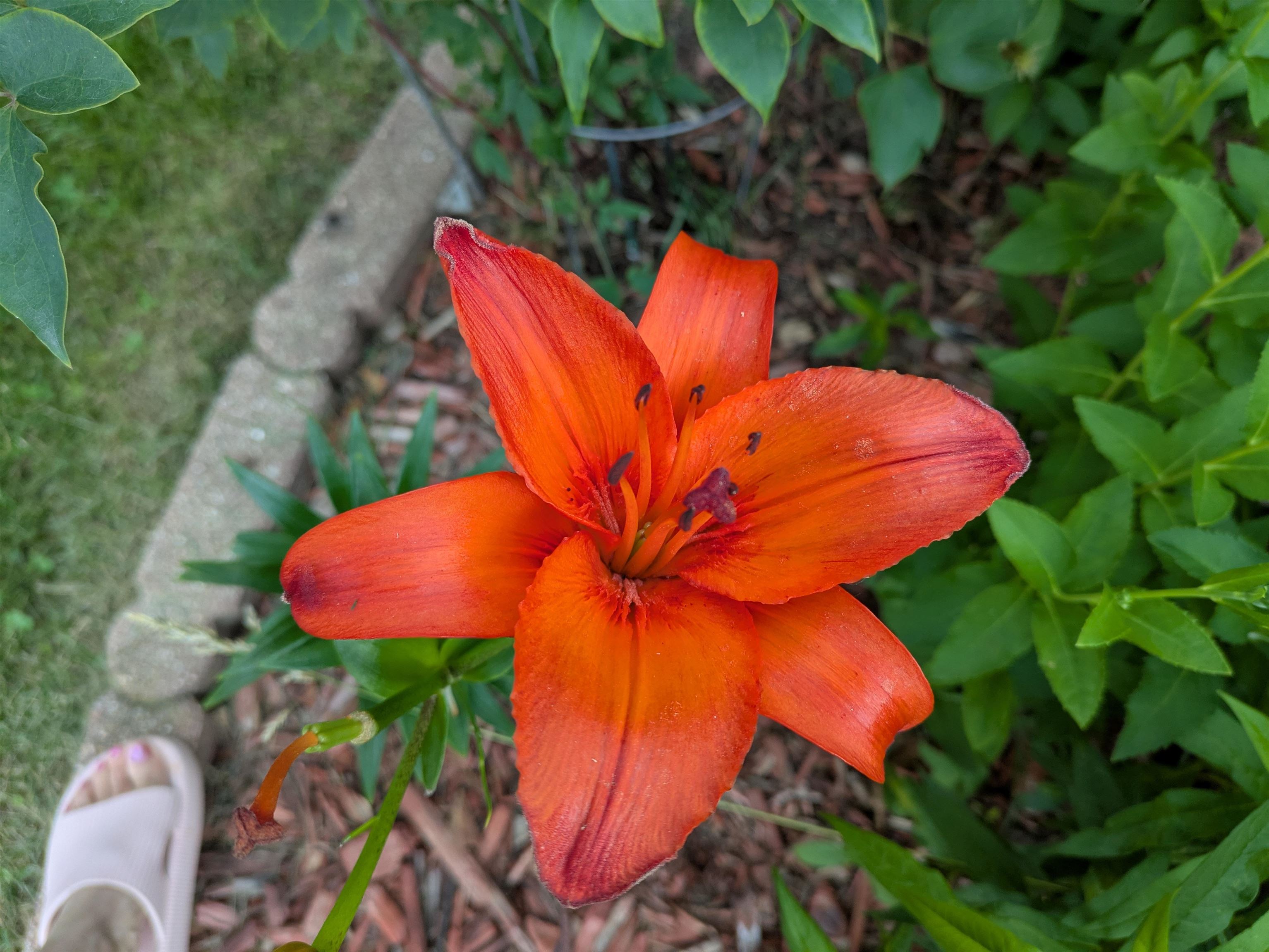 901 Innisbrook Court Waunakee, WI 53597 - Photo 60 of 72