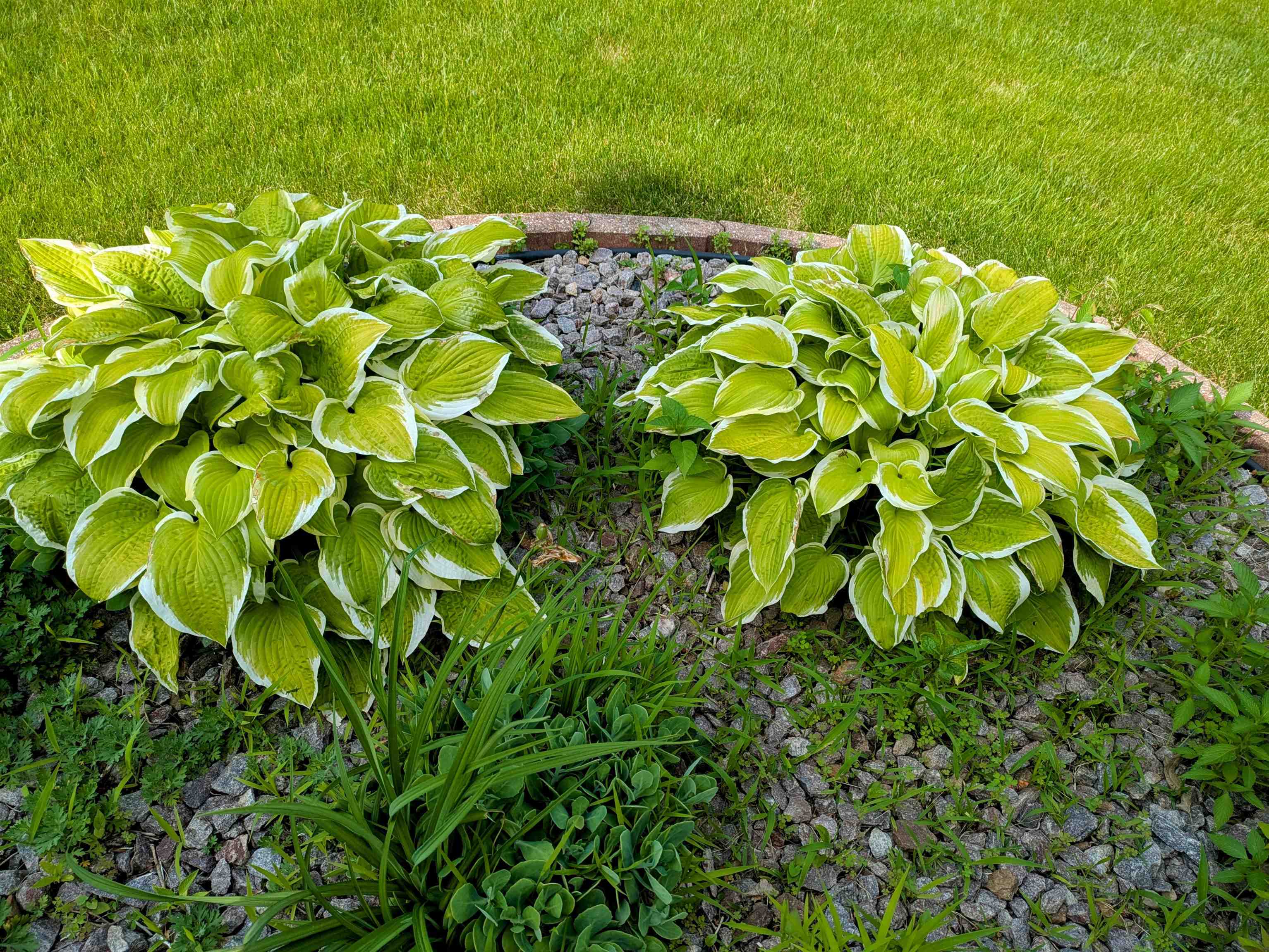 901 Innisbrook Court Waunakee, WI 53597 - Photo 61 of 72