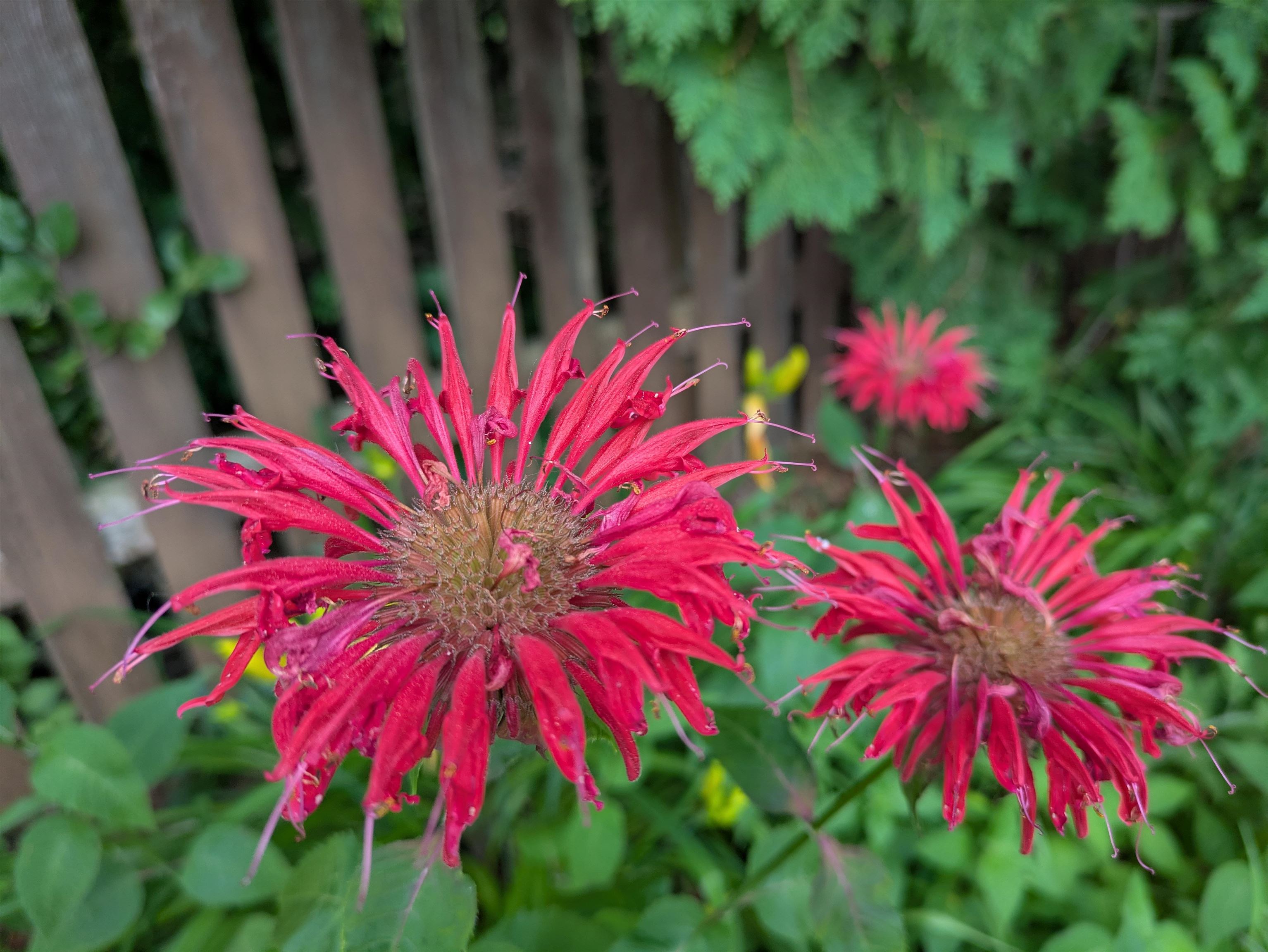 901 Innisbrook Court Waunakee, WI 53597 - Photo 62 of 72