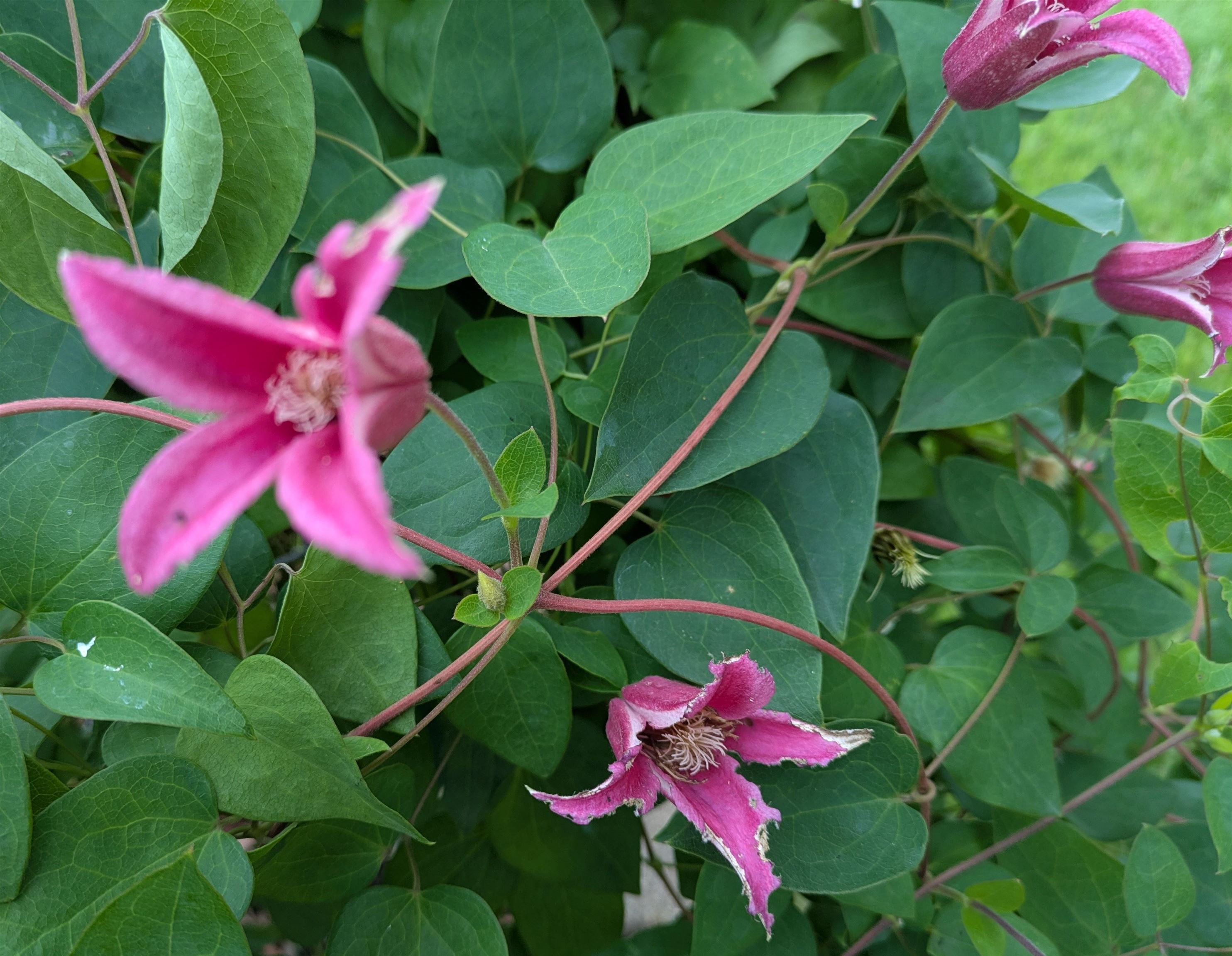 901 Innisbrook Court Waunakee, WI 53597 - Photo 63 of 72