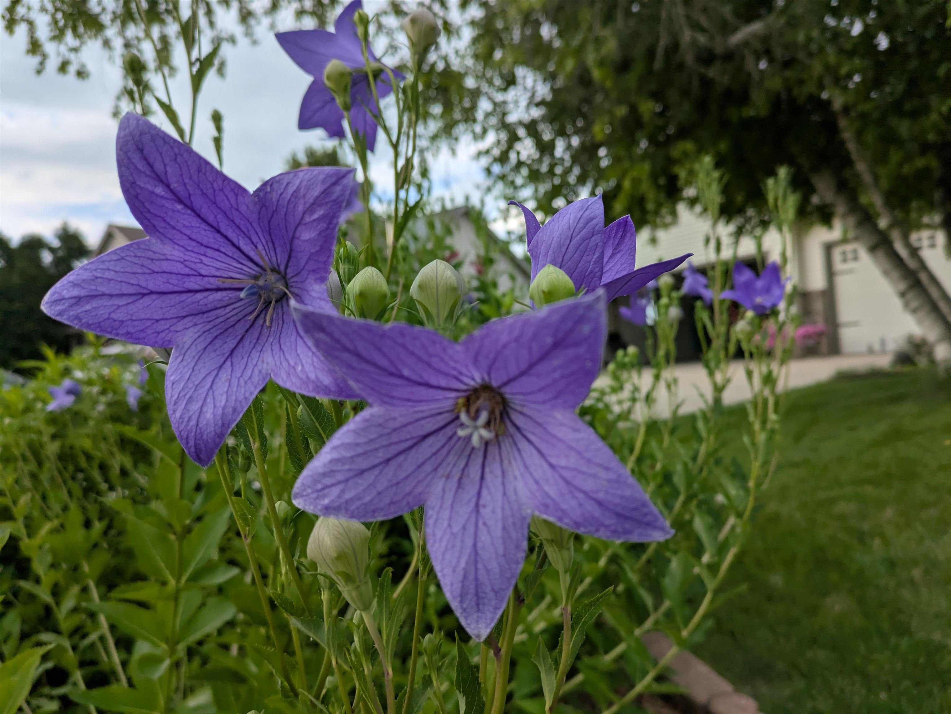 901 Innisbrook Court Waunakee, WI 53597 - Photo 64 of 72