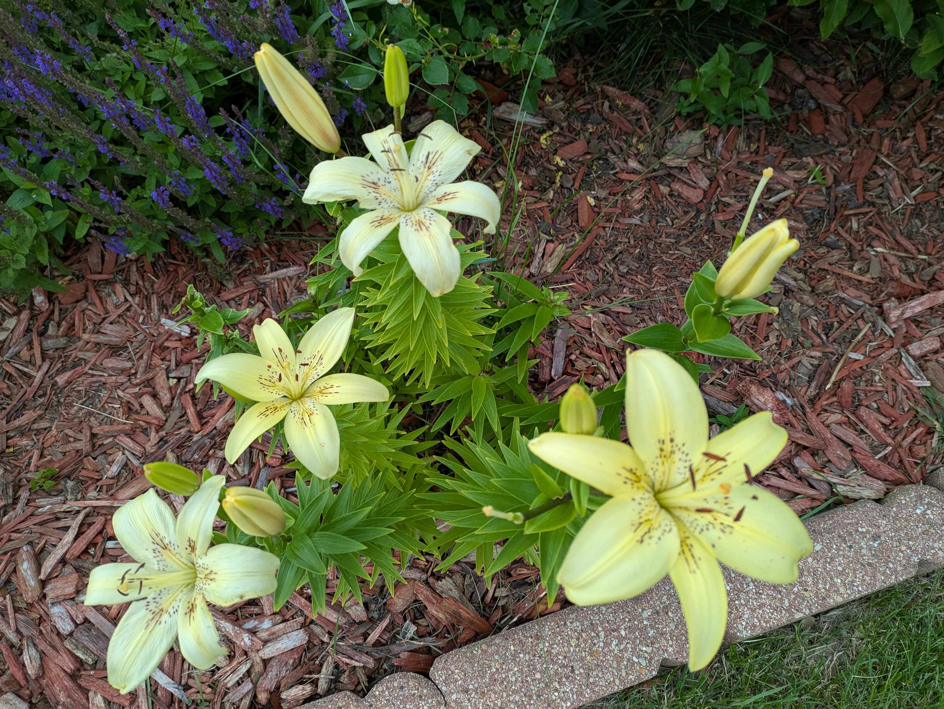 901 Innisbrook Court Waunakee, WI 53597 - Photo 65 of 72