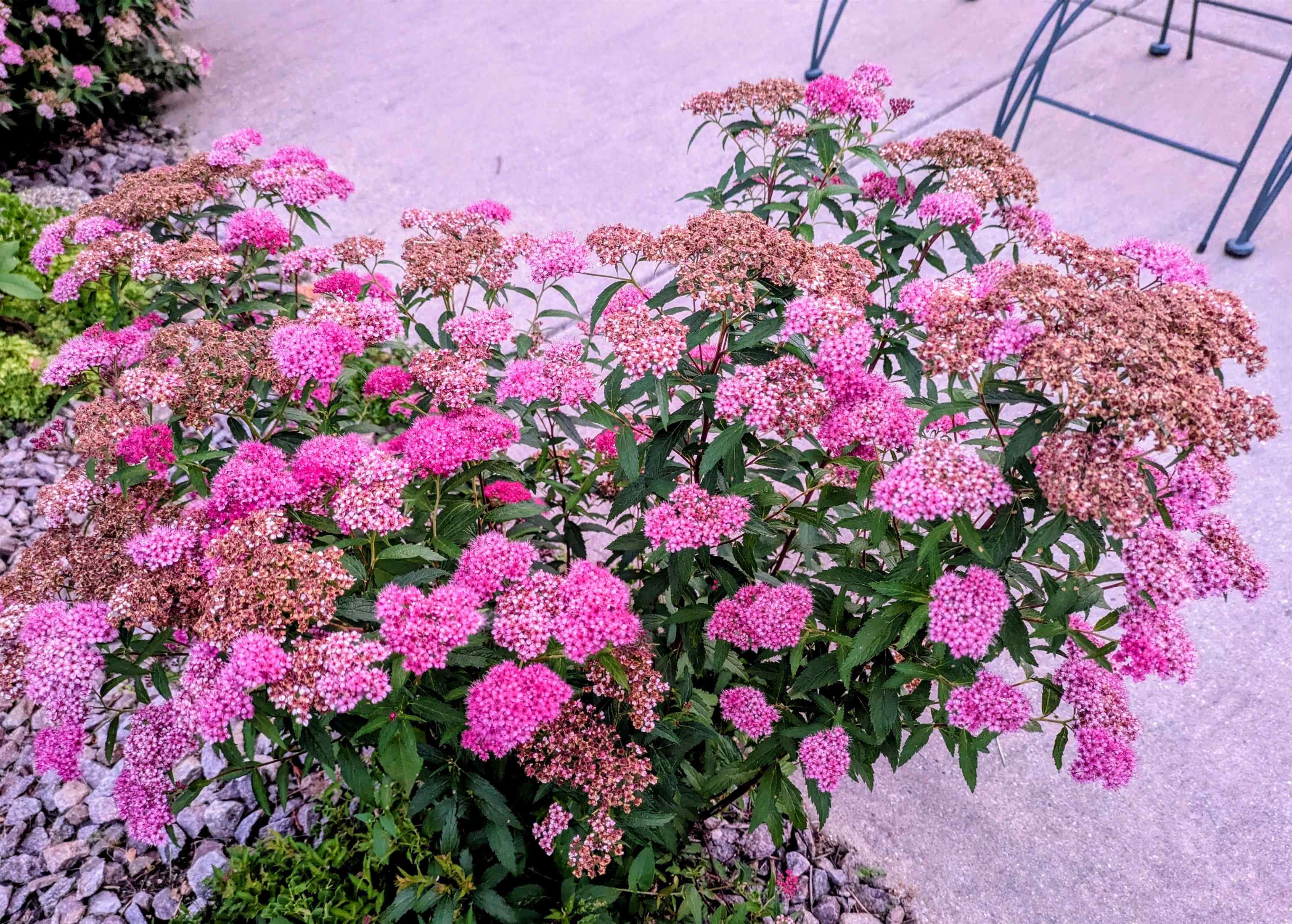 901 Innisbrook Court Waunakee, WI 53597 - Photo 66 of 72