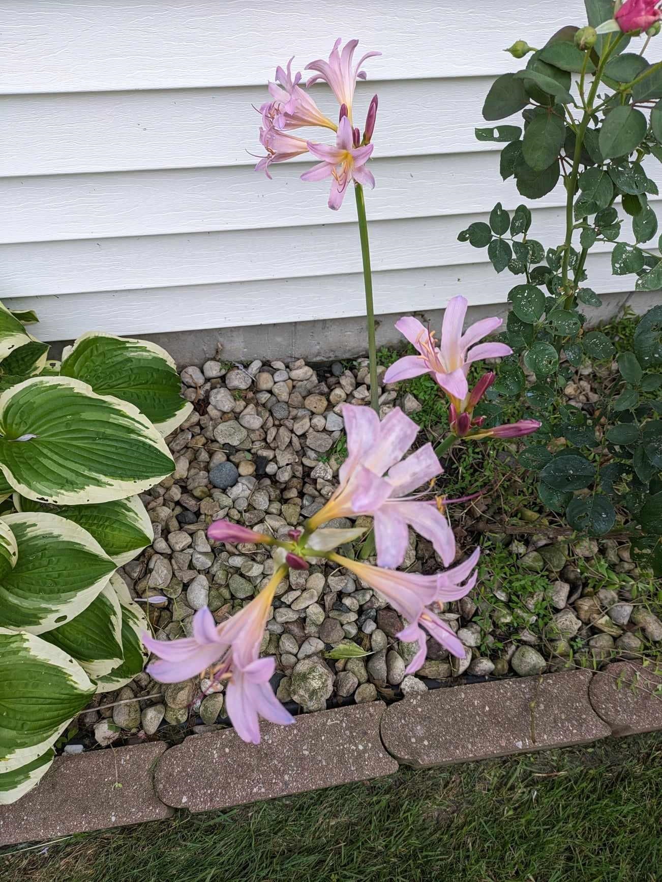 901 Innisbrook Court Waunakee, WI 53597 - Photo 67 of 72