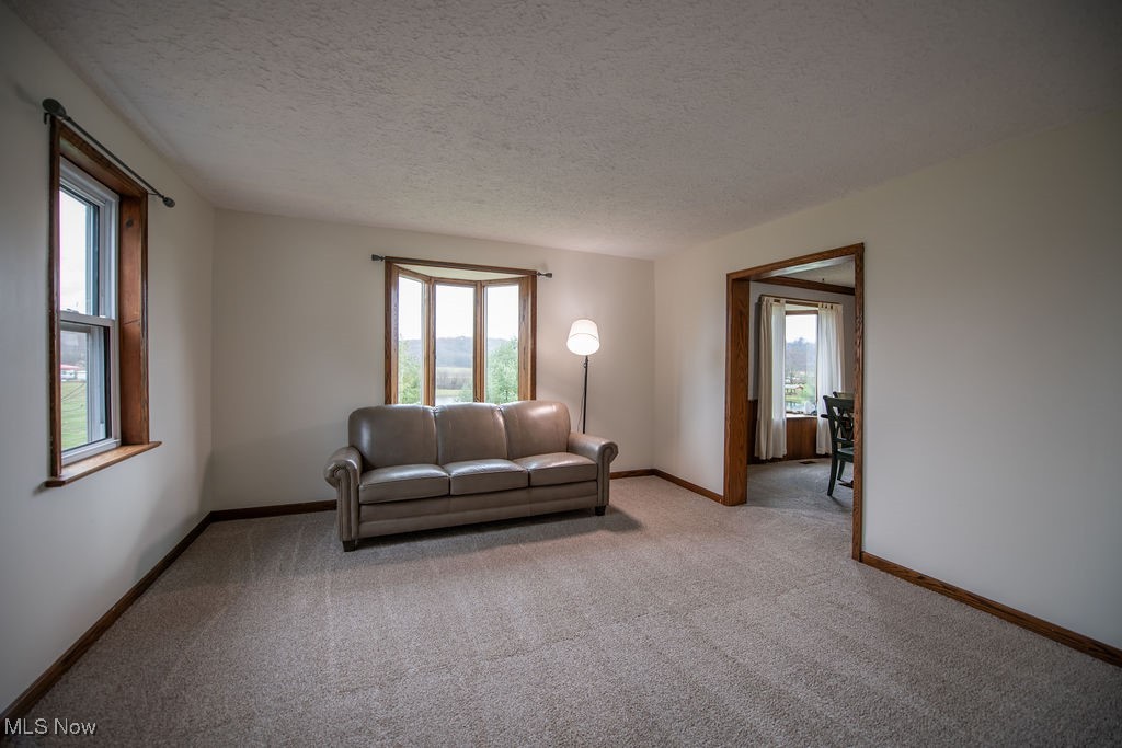 8811 Bayard Road Minerva, OH 44657 - Photo 7 of 46 Gallery Image 7