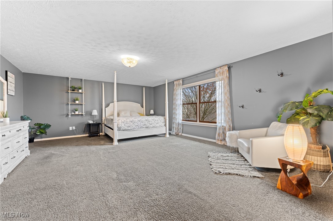 645 Killinger Road Clinton, OH 44216 - Photo 29 of 50 Carpeted bedroom with a textured ceiling