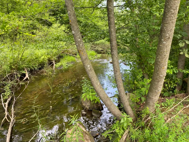 $115,000 | 7788 West Vernon Road, Lake, MI 48632