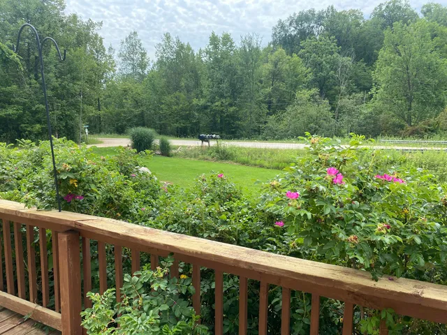 $115,000 | 7788 West Vernon Road, Lake, MI 48632