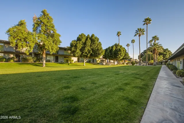 a view of a park with large trees