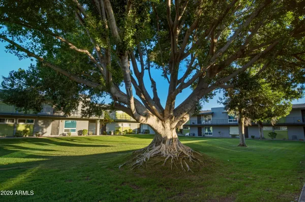 $239,000 | 7141 North 16th Street, Unit 209, Phoenix, AZ 85020