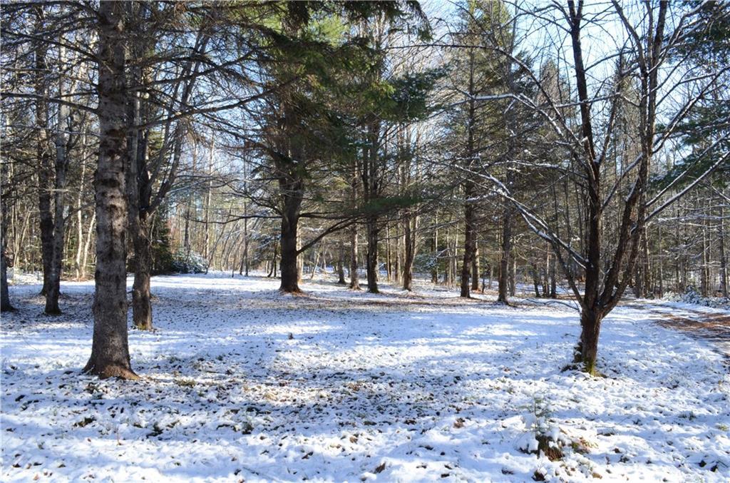 13 Perry Road Parkman, ME 04443 - Photo 11 of 18 Yard