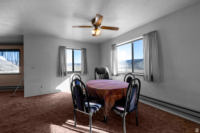 1208 East Tidwell Road Loa, UT 84747 - Photo 18 of 40 Dining area featuring plenty of natural light, carpet, a baseboard radiator, and ceiling fan
