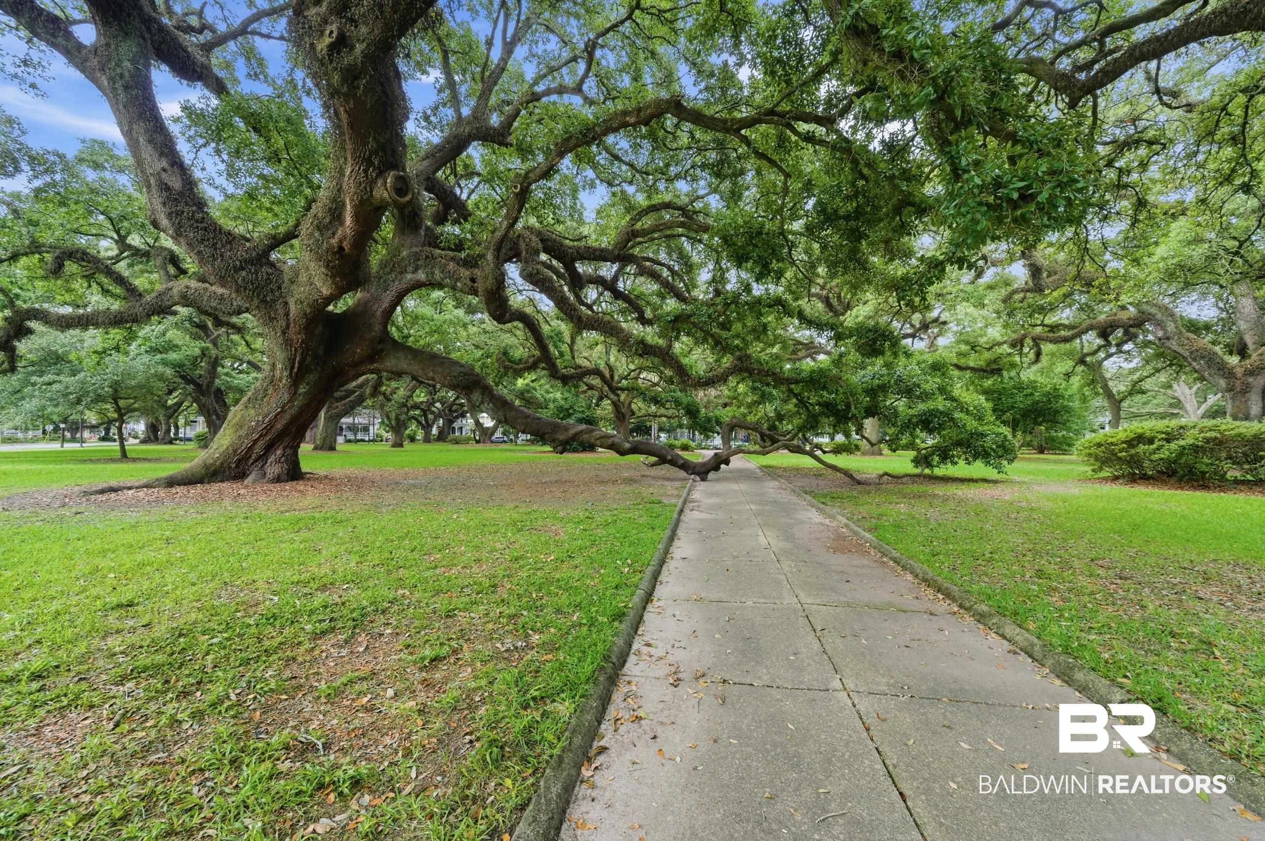 350 Charles Street Mobile, AL 36604 - Photo 48 of 52 Mature oak trees with extensive canopies shade a concrete pathway, bordered by manicured green lawn