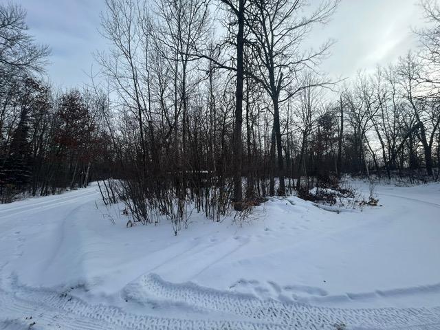 49128 Sandy Oak Drive Deer River, MN 56636 - Photo 3 of 18