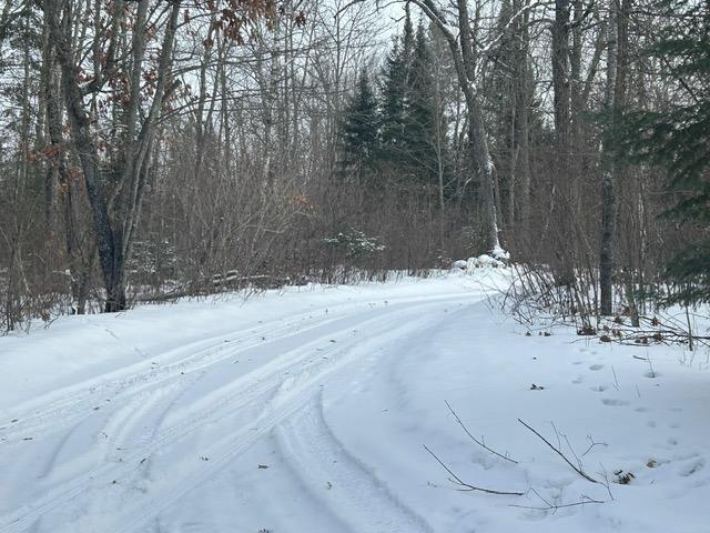 49128 Sandy Oak Drive Deer River, MN 56636 - Photo 6 of 18