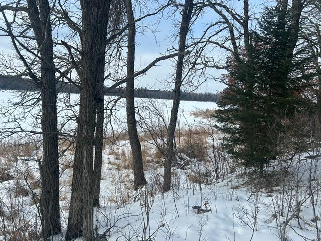 49128 Sandy Oak Drive Deer River, MN 56636 - Photo 7 of 18