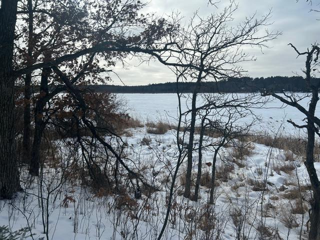 49128 Sandy Oak Drive Deer River, MN 56636 - Photo 8 of 18