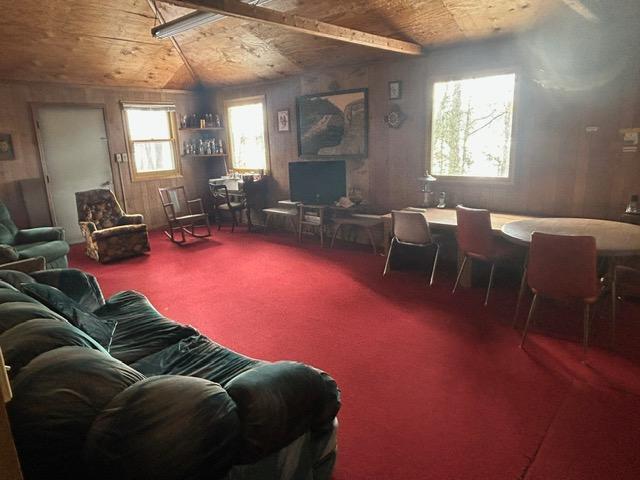 49128 Sandy Oak Drive Deer River, MN 56636 - Photo 10 of 18