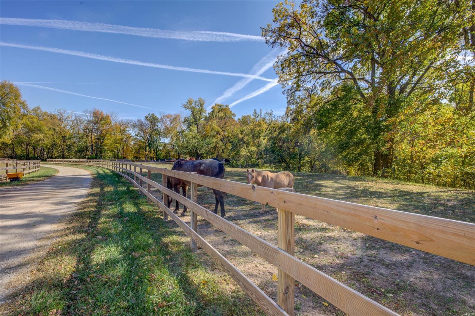 1173 Eureka Road Eureka, MO 63025 - Photo 46 of 55 Gallery Image 46