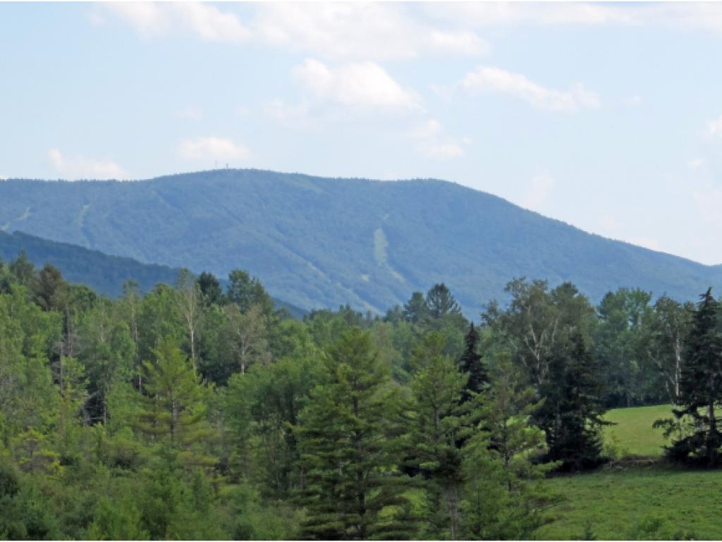 64 Piper Hill Road Weston, VT 05161 - Photo 20 of 25