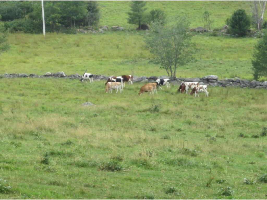 64 Piper Hill Road Weston, VT 05161 - Photo 21 of 25
