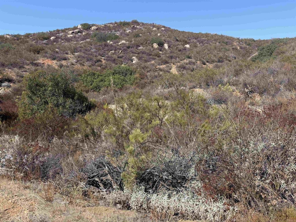 Lot 1 Japatul Road Alpine, CA 91901 - Photo 1 of 4 Gallery Image 1