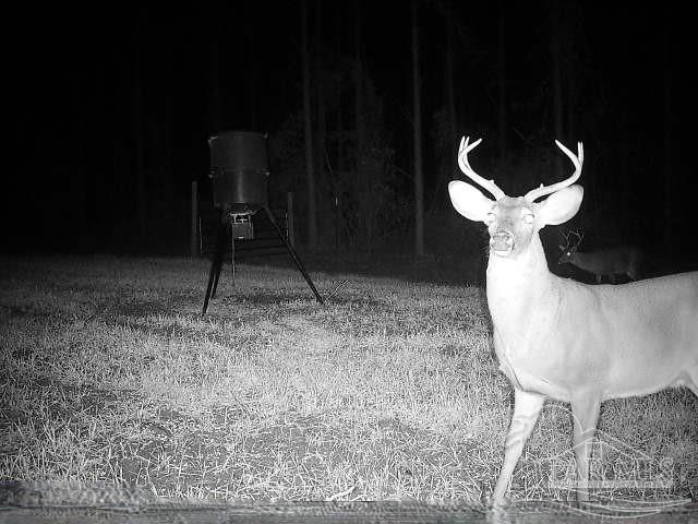 6950 Luth Road Molino, FL 32577 - Photo 21 of 22 Gallery Image 21