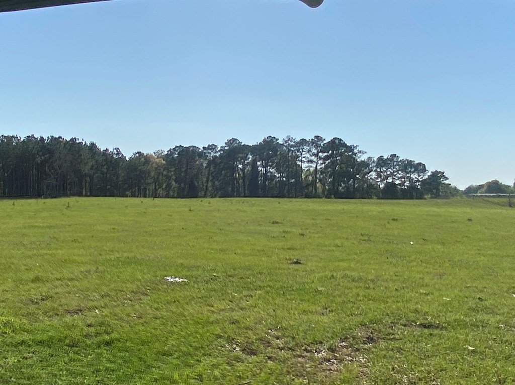 0 Co Road Abbeville, AL 36310 - Photo 8 of 53