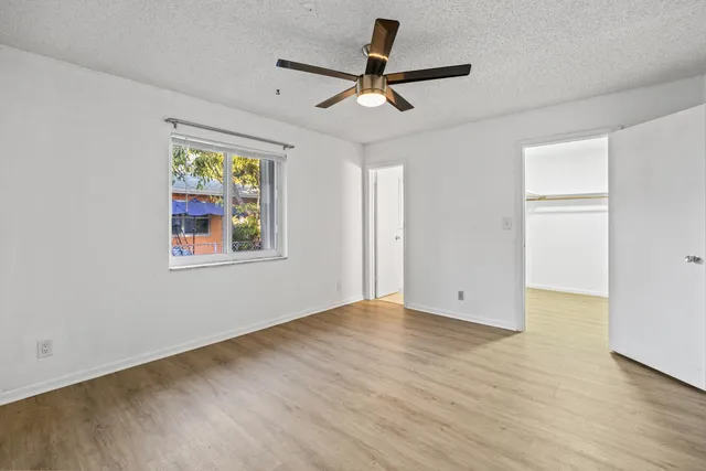 a view of a yard with a tree