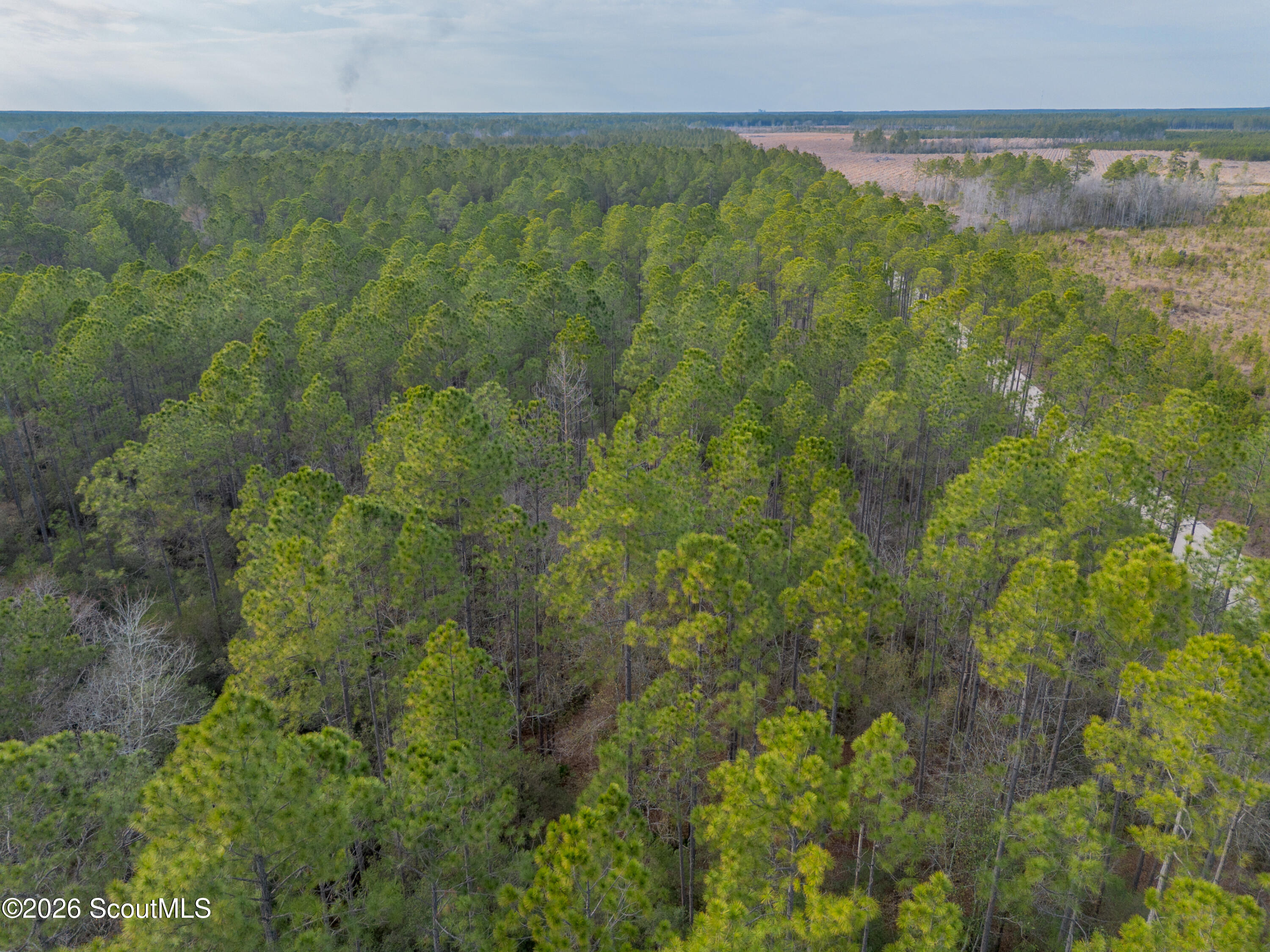 0 Reddish Road Odum, GA 31555 - Photo 29 of 46 230-AC-REDDISH-ODUM-28
