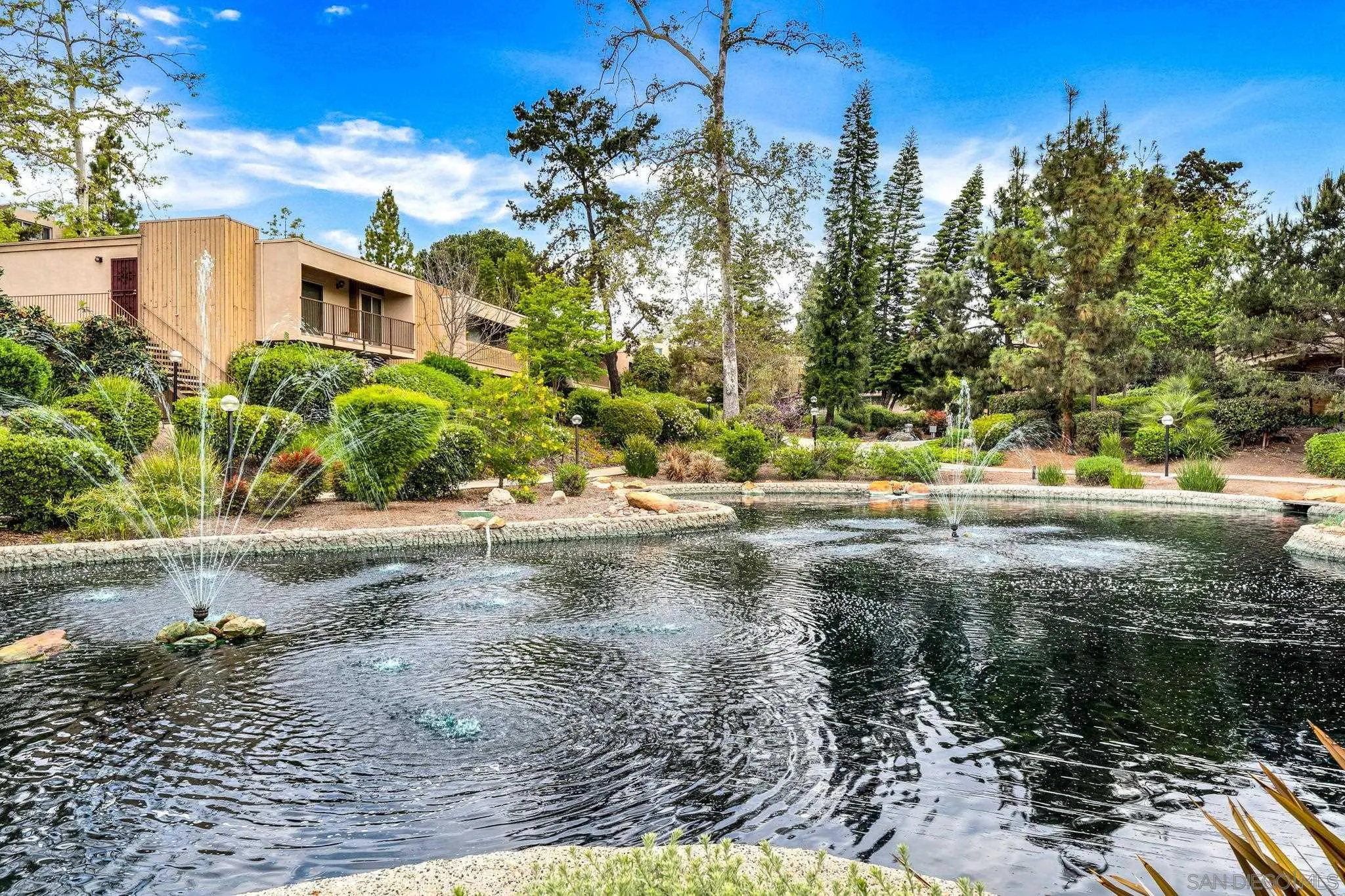 5700 Baltimore Drive La Mesa, CA 91942 - Photo 28 of 37 a view of a yard with plants