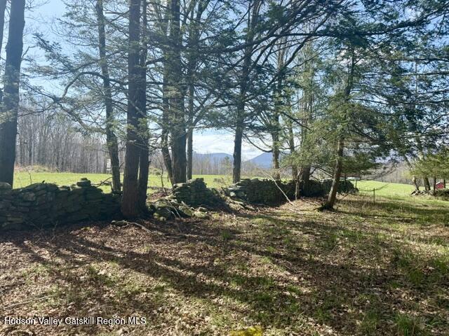 0 Van Etten Road Prattsville, NY 12468 - Photo 14 of 34 IMG_3152