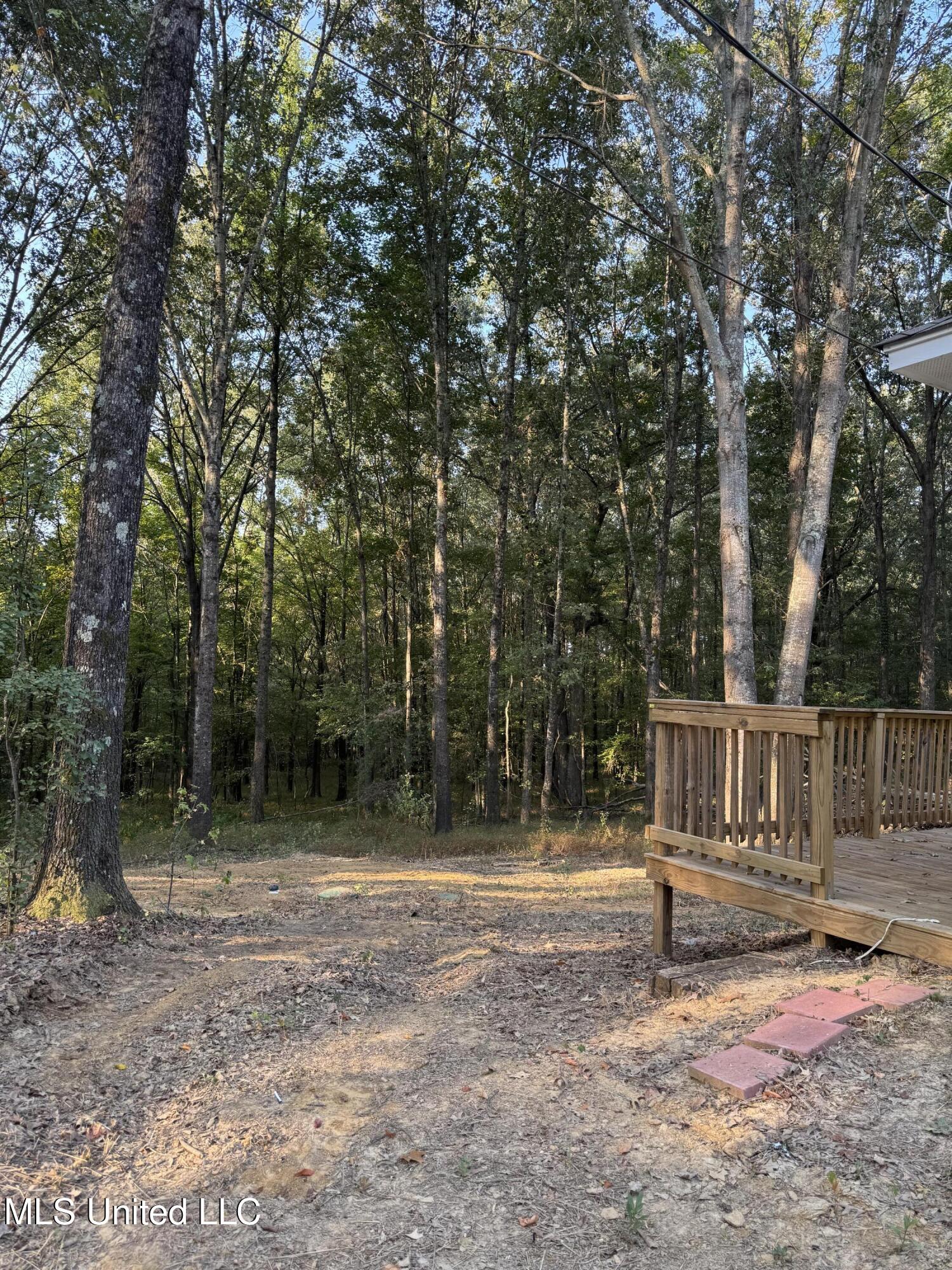 549 Ridge Rd. Sarah, MS 38665 - Photo 6 of 6 IMG_2874