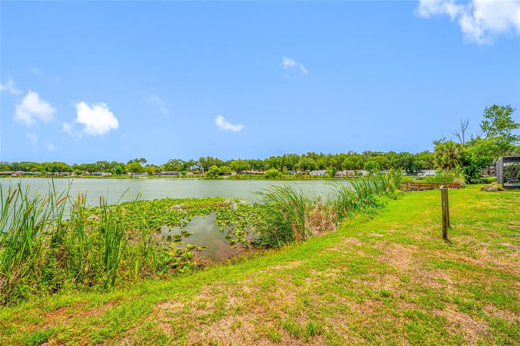 506 Gay Road Seffner, FL 33584 - Photo 42 of 59