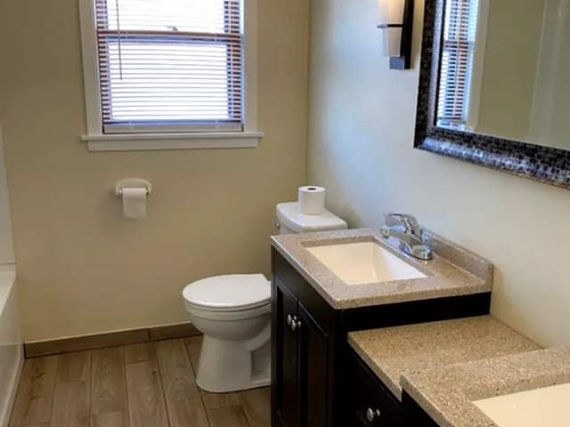 a bathroom with a sink and a toilet