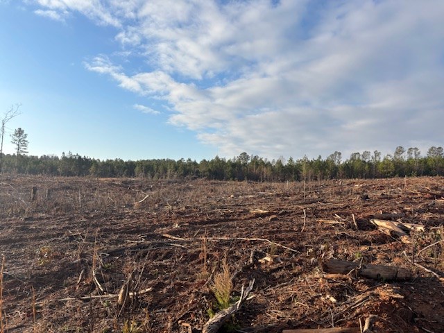 - Chipley Road Greenwood, SC 29646 - Photo 15 of 34