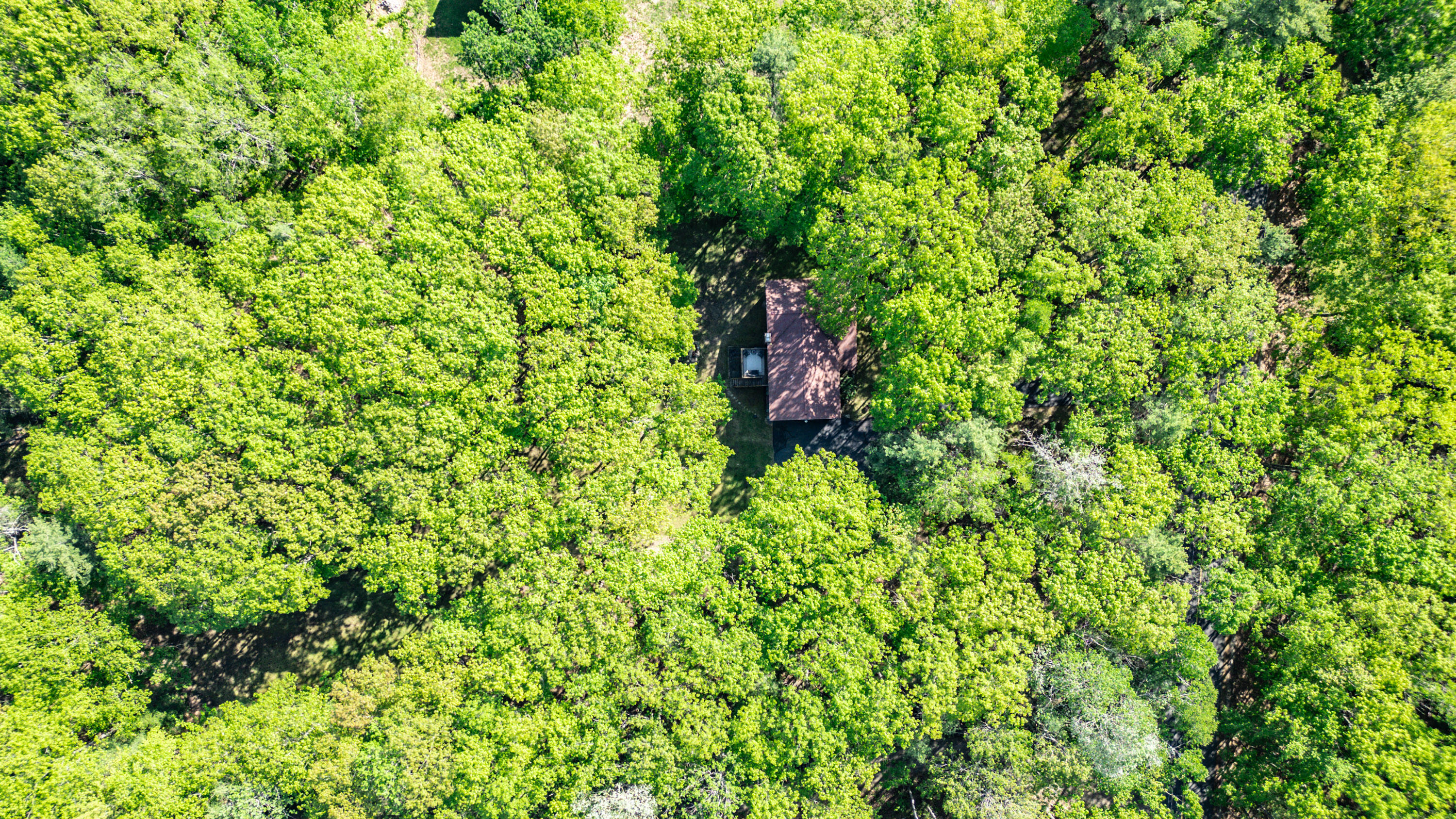 164 Oak Ridge Road Kennebunkport, ME 04046 - Photo 73 of 78 20250528gp-60001