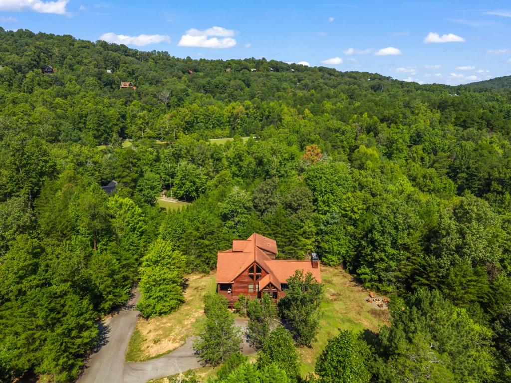 45 Whispering Lane Blue Ridge, GA 30513 - Photo 35 of 39 Gallery Image 35