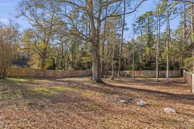 a view of dirt yard with large trees