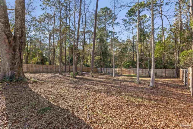 a view of a yard with of trees