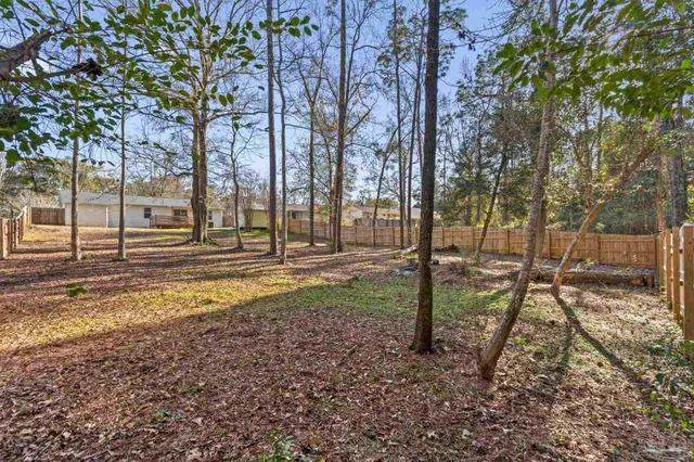 a view of a backyard